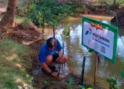 Pertamina: Konservasi Mangrove dan Tukik, Dukung Eco Tourism Village Kili-Kili