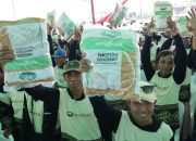 Syngenta Luncurkan Benih Padi Hibrida Ningrat NK2133 Tingkatkan Produktivitas Petani