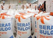 Wamen Pertanian Pastikan Stok Beras Nasional Aman di Tengah Panic Buying