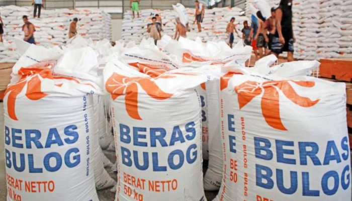 Wamen Pertanian Pastikan Stok Beras Nasional Aman di Tengah Panic Buying