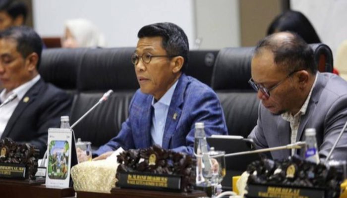 Komisi X DPR apresiasi capaian ekonomi Indonesia di tengah tantangan