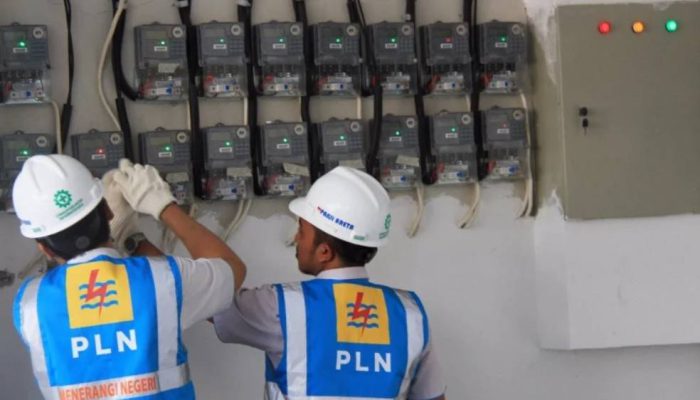 Pemerintah Targetkan 1,2 Juta Rumah Tangga di Daerah 3T Teraliri Listrik 2025-2029