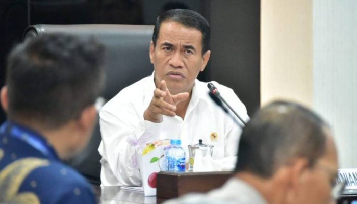 Pemerintah Jamin Pasokan Beras Aman, Harga Beras Turun