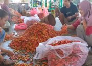 Harga Cabai Rawit di Kediri Naik, Pasokan Turun