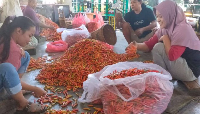 Harga Cabai Rawit di Kediri Naik, Pasokan Turun