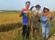 PGN Aktif dalam Pemberdayaan Ekonomi Masyarakat dan Pelestarian Lingkungan