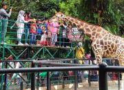 Seleksi Dirut KBS Surabaya Berlangsung Transparan, Pemkot Tegaskan Profesionalisme Proses