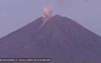 Semeru Erupsi Pagi Hari, Kolom Abu Capai 4.476 Mdpl; Status Tetap Awas