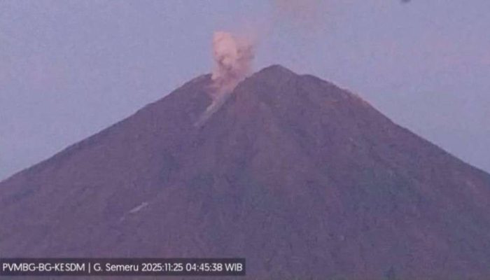 Semeru Erupsi Pagi Hari, Kolom Abu Capai 4.476 Mdpl; Status Tetap Awas
