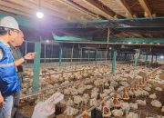 Jaga Daya Beli, Pemerintah Pastikan Tarif Listrik Tidak Naik di Awal 2026