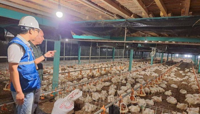 Jaga Daya Beli, Pemerintah Pastikan Tarif Listrik Tidak Naik di Awal 2026