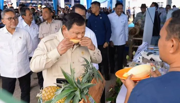 Panen Raya Karawang, Presiden Prabowo Jajal Langsung Hasil Pertanian Nasional