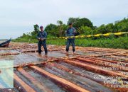 Operasi Gakkum: Peredaran Kayu Ilegal di Ketapang Terbongkar
