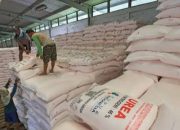 Subsidi Pupuk 2026 Tetap 9,55 Juta Ton, Pemerintah Perkuat Sektor Pertanian