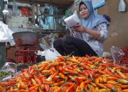 Permintaan Meningkat, Harga Cabai di Kediri Tembus Rp95 Ribu per Kilogram
