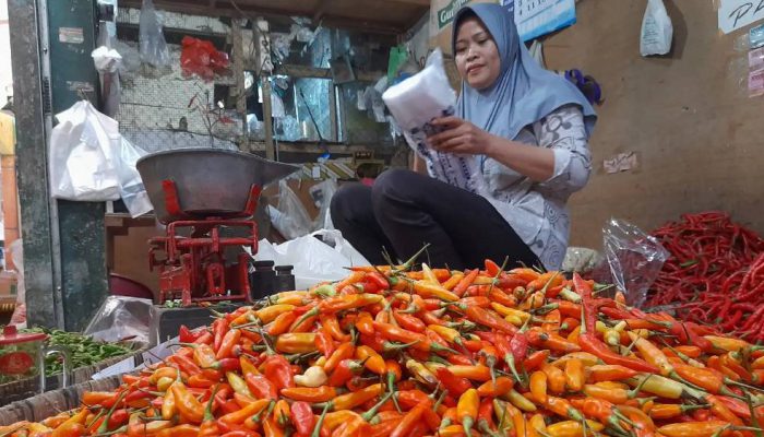 Permintaan Meningkat, Harga Cabai di Kediri Tembus Rp95 Ribu per Kilogram