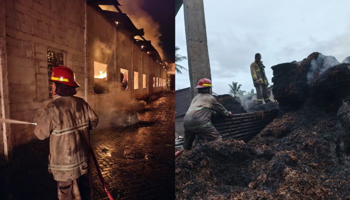 Gudang Tembakau di Jelbuk Jember Terbakar, Kerugian Ditaksir Puluhan Miliar