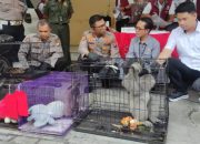 Jaringan Pasar Gelap Internasional Terbongkar, Satreskrim Polresta Sidoarjo Amankan Penjual Satwa Langka