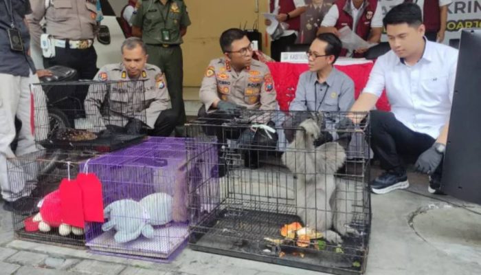 Jaringan Pasar Gelap Internasional Terbongkar, Satreskrim Polresta Sidoarjo Amankan Penjual Satwa Langka