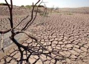 Kemarau 2026 Diprediksi Lebih Dini, Berikut Rincian Jadwal dari BMKG