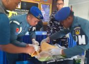 Satgaspam Juanda Gagalkan Penyelundupan 39.927 Benih Lobster Senilai Rp1,1 Miliar ke Singapura
