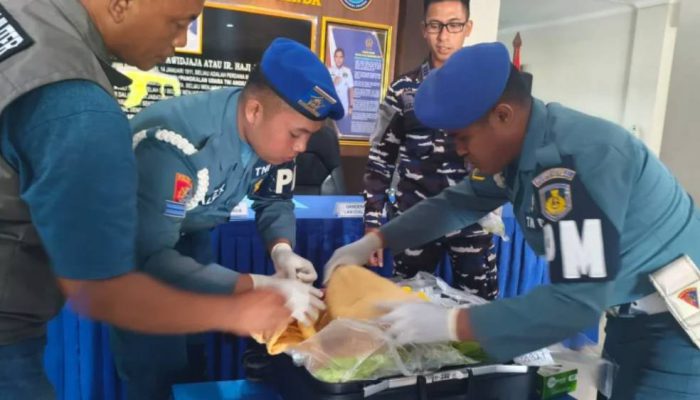 Satgaspam Juanda Gagalkan Penyelundupan 39.927 Benih Lobster Senilai Rp1,1 Miliar ke Singapura