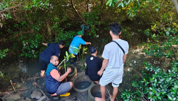 TPS Salurkan 3.000 Bibit Mangrove untuk Rehabilitasi Pesisir Sontoh Laut Surabaya