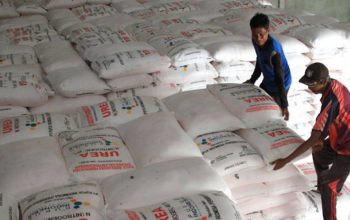 Indonesia Perkuat Ekspor Pupuk Urea ke Australia Senilai Rp7 Triliun