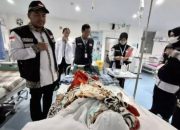 BPJS Kesehatan Ingatkan Pentingnya JKN Aktif bagi Jemaah Haji