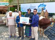PT Terminal Teluk Lamong Salurkan 12 Sapi dan 21 Kambing untuk Masyarakat Lewat Program Pelindo Berbagi Kurban
