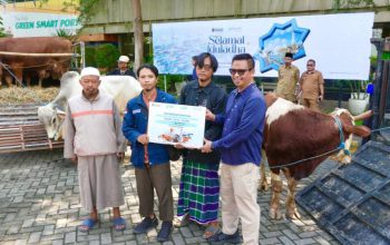 PT Terminal Teluk Lamong Salurkan 12 Sapi dan 21 Kambing untuk Masyarakat Lewat Program Pelindo Berbagi Kurban