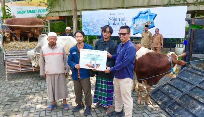 PT Terminal Teluk Lamong Salurkan 12 Sapi dan 21 Kambing untuk Masyarakat Lewat Program Pelindo Berbagi Kurban