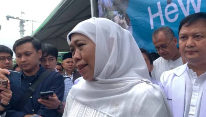 Khofifah Sebut Penjualan Hewan Kurban di Jatim Naik 30 Persen pada Iduladha 1447 H