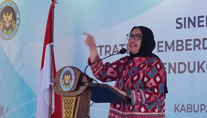 Presiden Prabowo Reshuffle Pimpinan BGN, Nanik Sudaryati Deyang Ditunjuk sebagai Kepala Baru