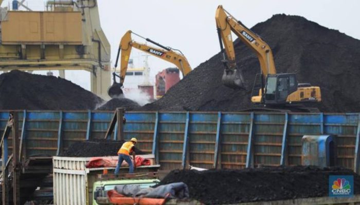 Kewajiban SPK TKBM di KSOP Satui Dinilai Berpotensi Tambah Beban Usaha