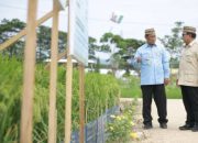 NTP Sentuh Angka 127, Prabowo Optimistis Swasembada Pangan Berkelanjutan