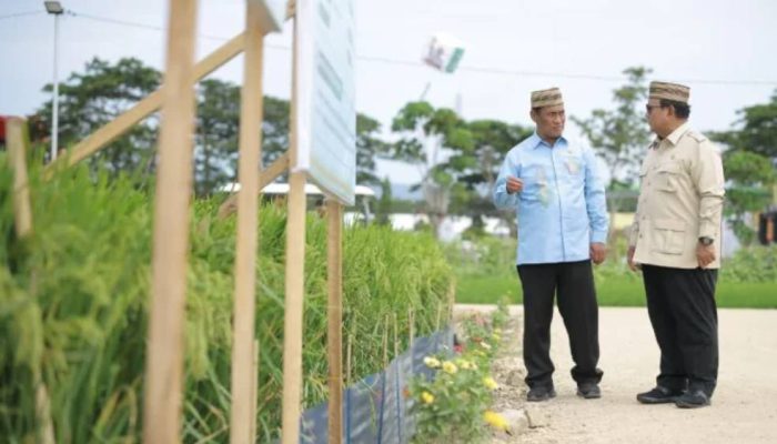 NTP Sentuh Angka 127, Prabowo Optimistis Swasembada Pangan Berkelanjutan