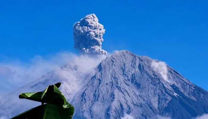 Gunung Semeru Alami 5 Kali Erupsi Hari Ini, Letusan Tertinggi Capai 1,2 Kilometer