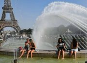 Gelombang Panas Ekstrem Panggang Eropa: 1.000 Orang Tewas di Prancis, Suhu Jerman Tembus 40°C