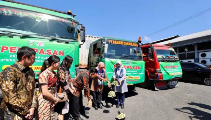 Banyuwangi Ekspor 270 Ton Ikan Sarden ke 10 Negara, Nilainya Capai Rp10 Miliar
