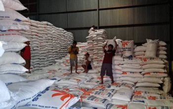 Surplus Beras, Banyuwangi Jadi Penopang Distribusi Beras ke Indonesia Timur