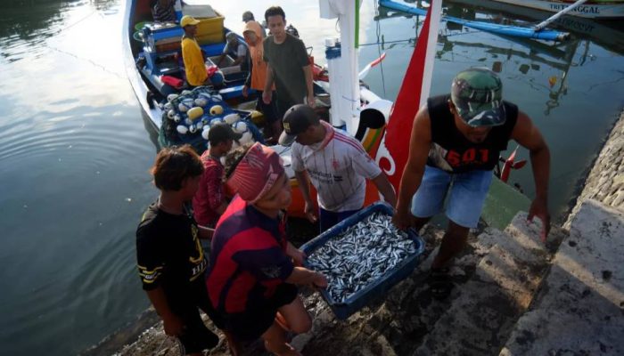 ASEAN-ID Blue 2026: Banyuwangi Jadi Contoh Pengembangan Ekonomi Biru