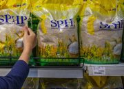 El Nino Mengancam, Pemerintah Andalkan Stok Beras 5 Juta Ton dan SPHP untuk Kendalikan Harga