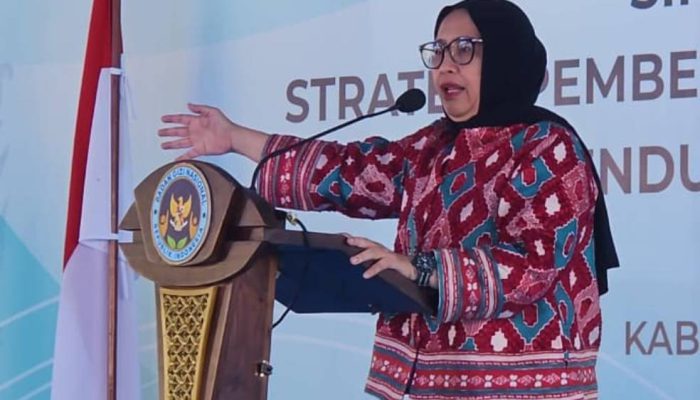 Fokus Pengobatan Jantung, Nanik S. Deyang Resmi Mengundurkan Diri dari Kepala Badan Gizi Nasional