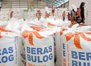 BULOG Serap 3,5 Juta Ton Beras, Tinggal 13 Persen Lagi Capai Target Nasional