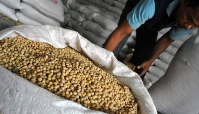 Kemenko Pangan Siapkan 10 Langkah Strategis Percepat Swasembada Kedelai Nasional