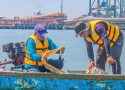 Kolaborasi dengan BRIN, Terminal Teluk Lamong Bangun Basis Data Ilmiah Biota Laut