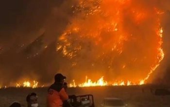 Gunung Bromo Ditutup Total, Kebakaran Kaldera Masih Berkobar