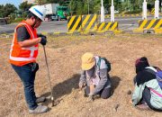 Jaga Keanekaragaman Hayati, Terminal Teluk Lamong Gandeng BRIN