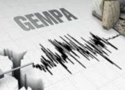 BMKG Catat Gempa M 2,4 di Pacitan, Tidak Berpotensi Tsunami